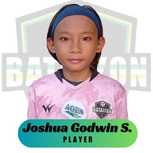JOSHUA GODWIN SIJABAT